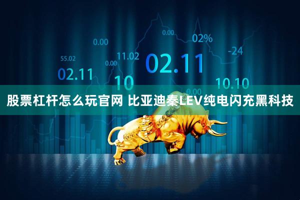 股票杠杆怎么玩官网 比亚迪秦LEV纯电闪充黑科技