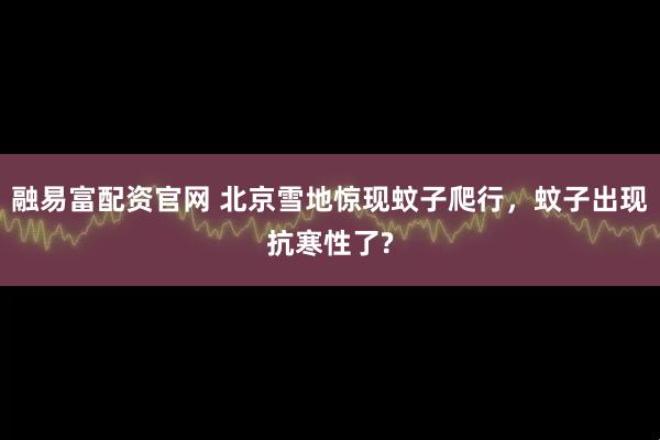 融易富配资官网 北京雪地惊现蚊子爬行，蚊子出现抗寒性了?