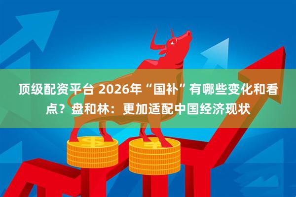 顶级配资平台 2026年“国补”有哪些变化和看点？盘和林：更加适配中国经济现状