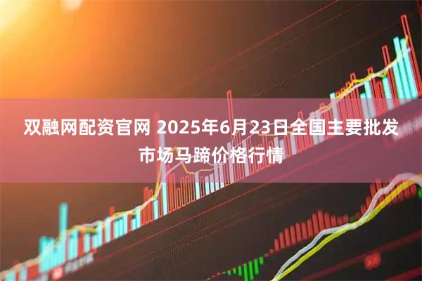 双融网配资官网 2025年6月23日全国主要批发市场马蹄价格行情