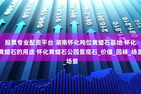 股票专业配资平台 湖南怀化吨位黄蜡石基地 怀化黄蜡石的用途 怀化黄蜡石公园景观石_价值_园林_场景